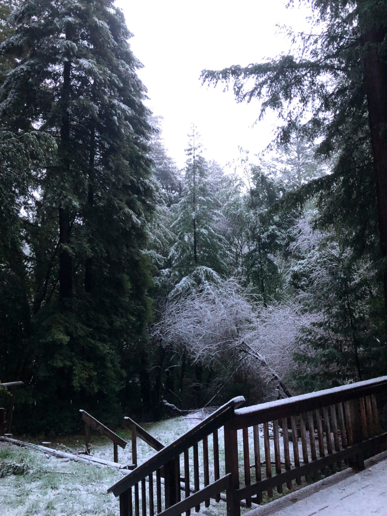 Snow on the back deck, Santa Cruz Mountains